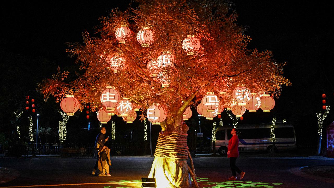 IN PHOTOS China immersed in festivities ahead of Lunar New Year 2025
