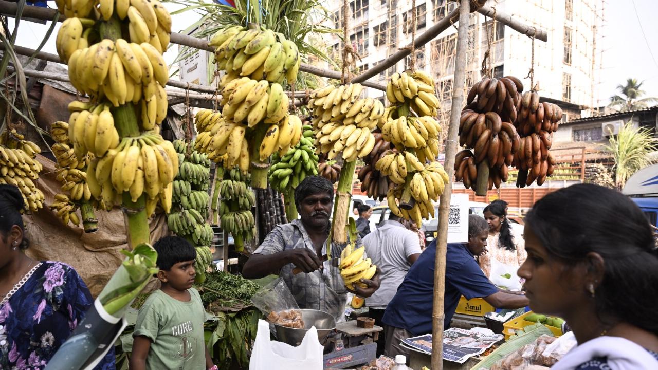 Other essential items for the celebrations and rituals include turmeric tufts, banana leaves, mango leaves, etc.