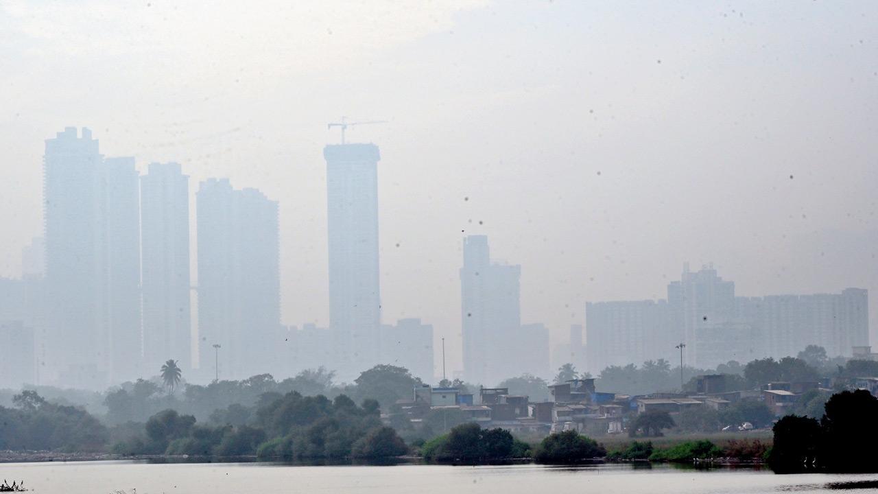 Mumbai weather updates: City sizzles by day, shivers by night 2