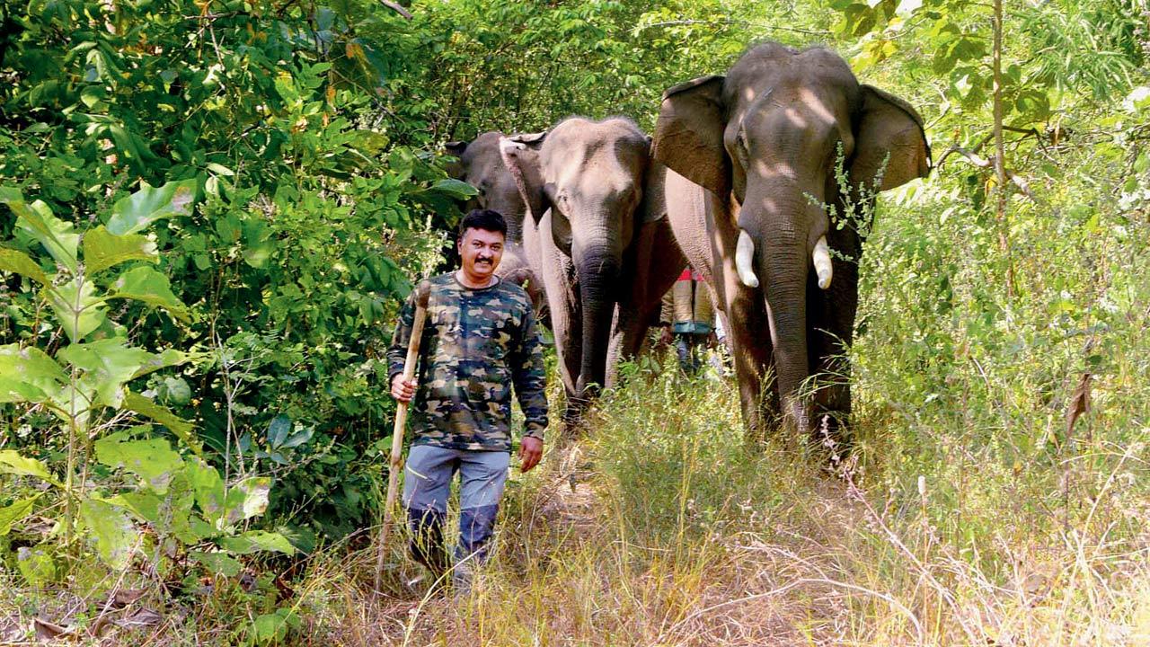 Anand Shinde on-field. Pics Courtesy/Trunk Call Wildlife Foundation
