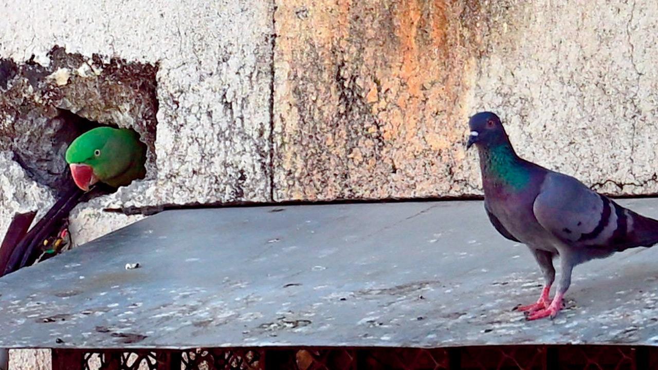 Mumbai Diary: Friday Dossier