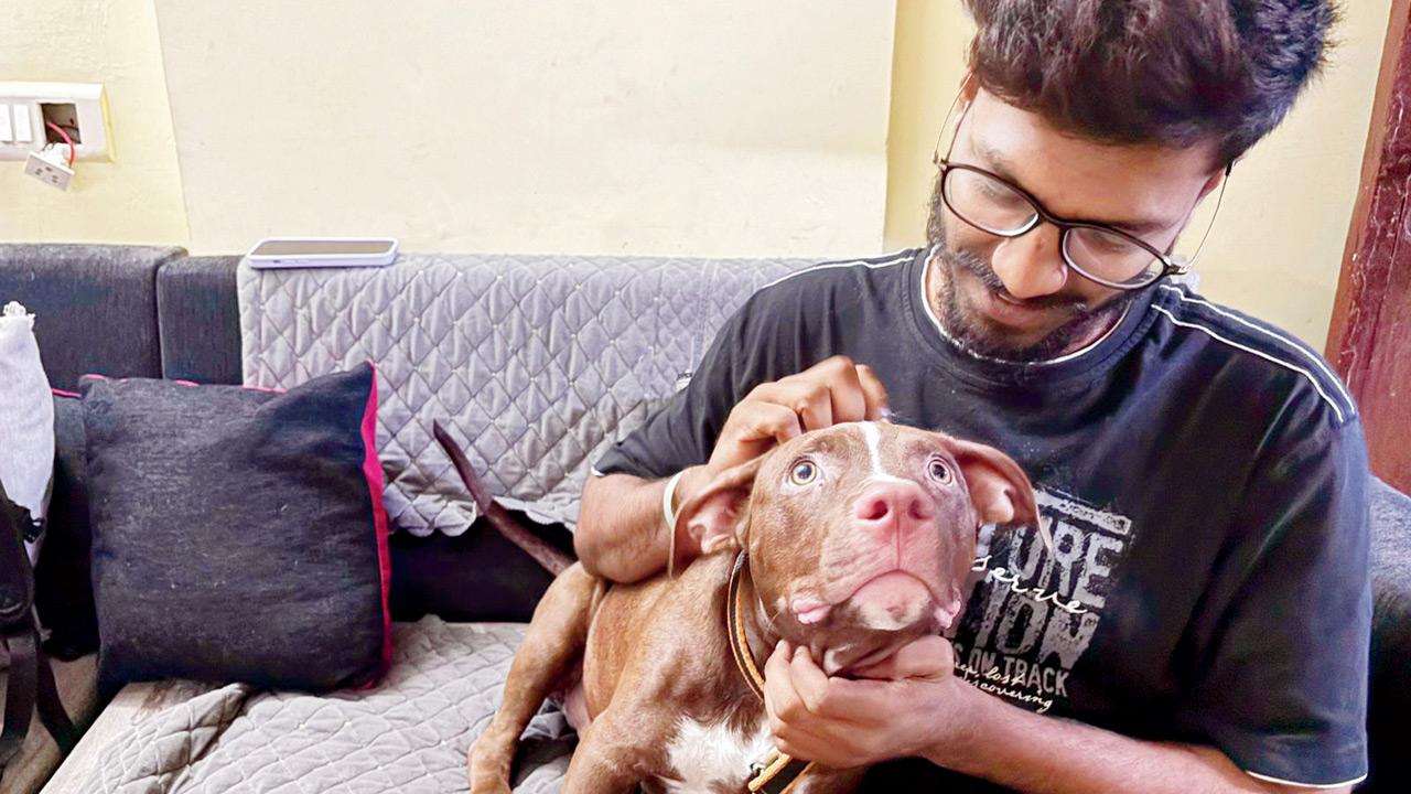 Bhavesh Natekar and the pit bull at his Mahim home