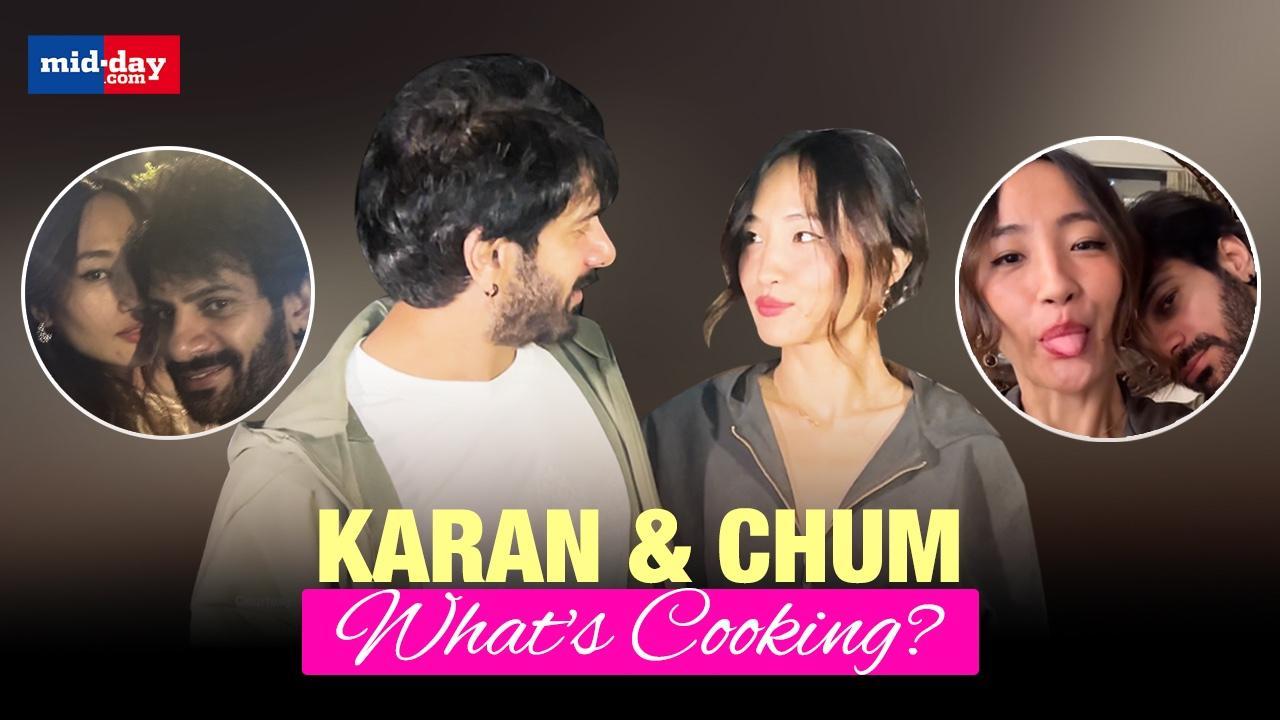 Did Karan Veer Mehra & Chum Darang Just Confirm Their Relationship on Instagram?