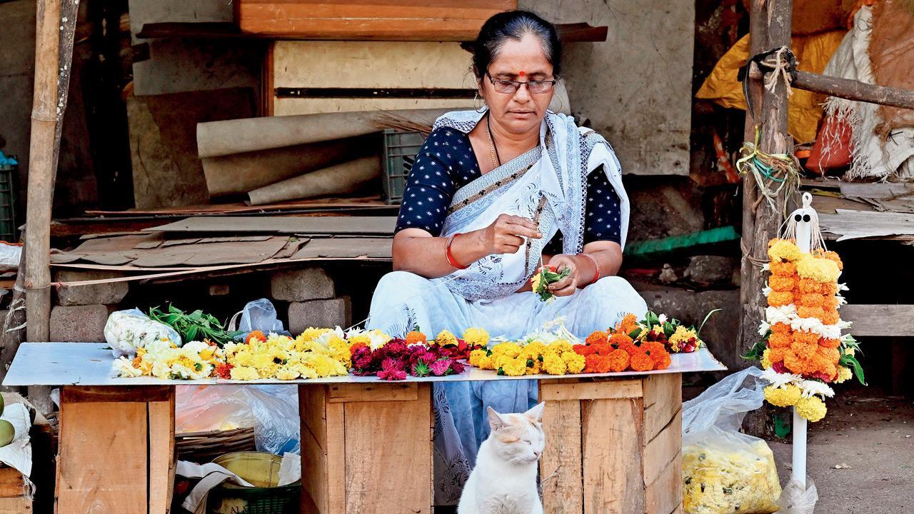 Mumbai Diary: Saturday Dossier