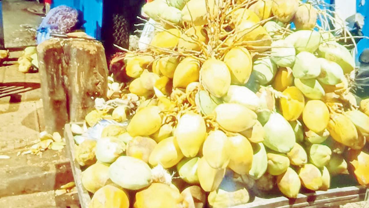 A coconut stall operated by Khan and Mohammed Shahabuddin Haque in Andheri
