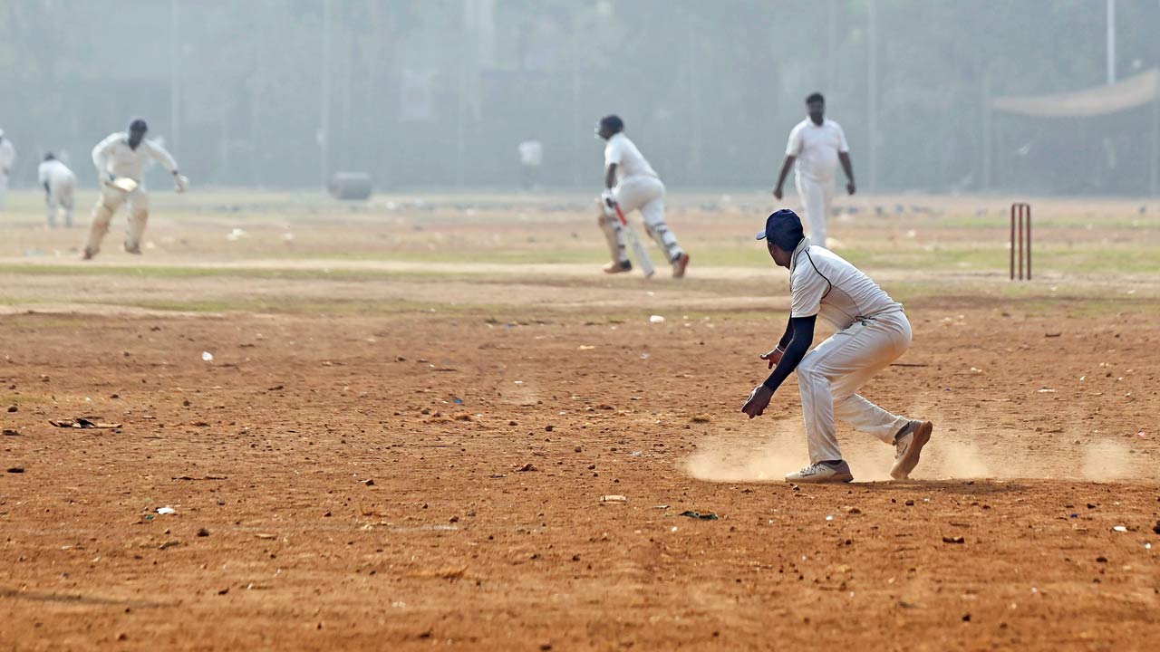 IIT-B report suggests that planting grass will alleviate the dust problem. File Pic/Ashish Raje