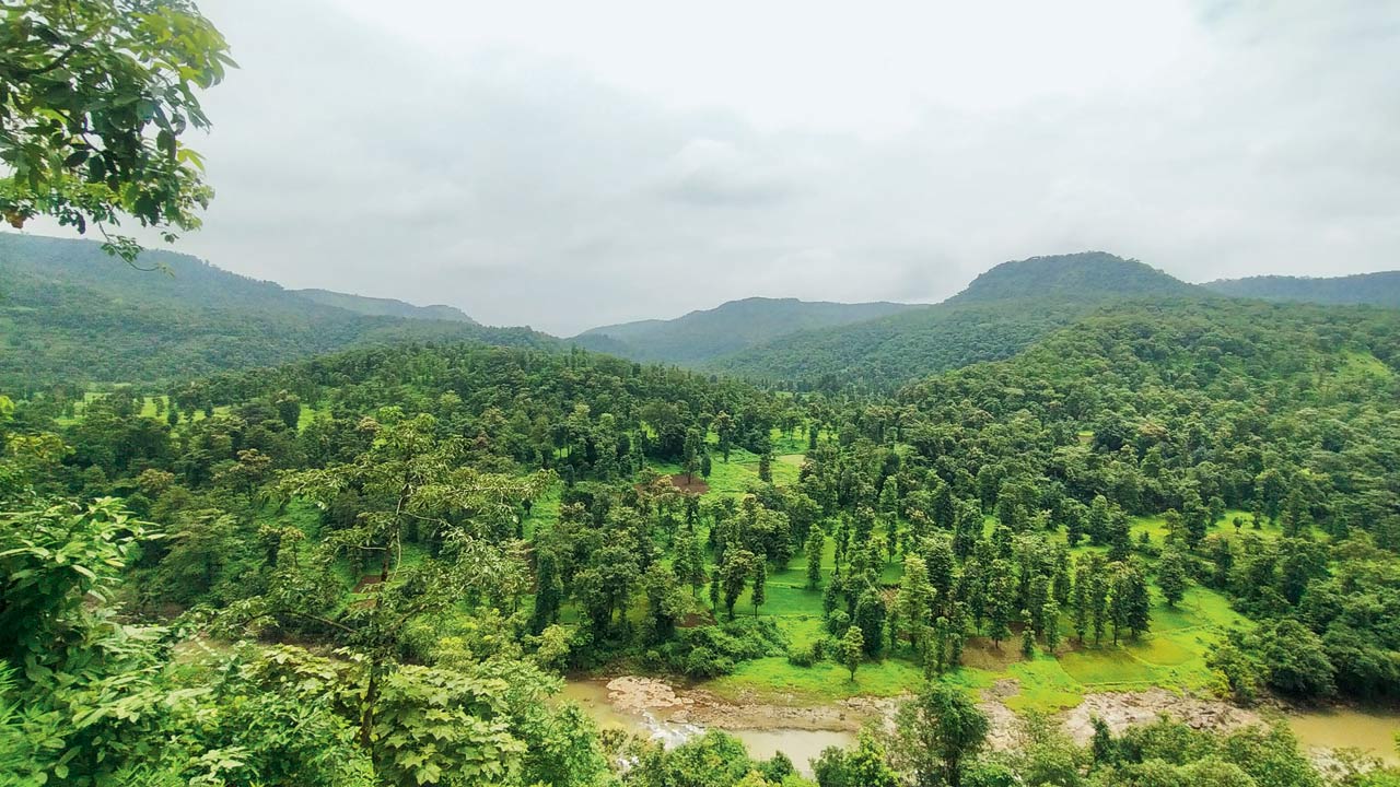 The proposed site of the Gargai dam in Palghar district, about 110 km away from Mumbai. Pic/Ranjeet Jadhav