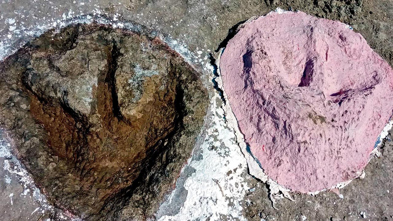 UK: Long trails with dino foot marks found