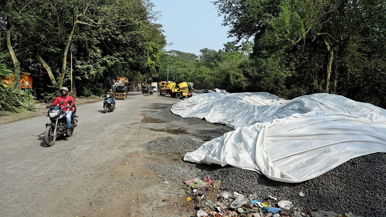 Mid-Day Impact: Dust-mitigation measures imposed in Aarey