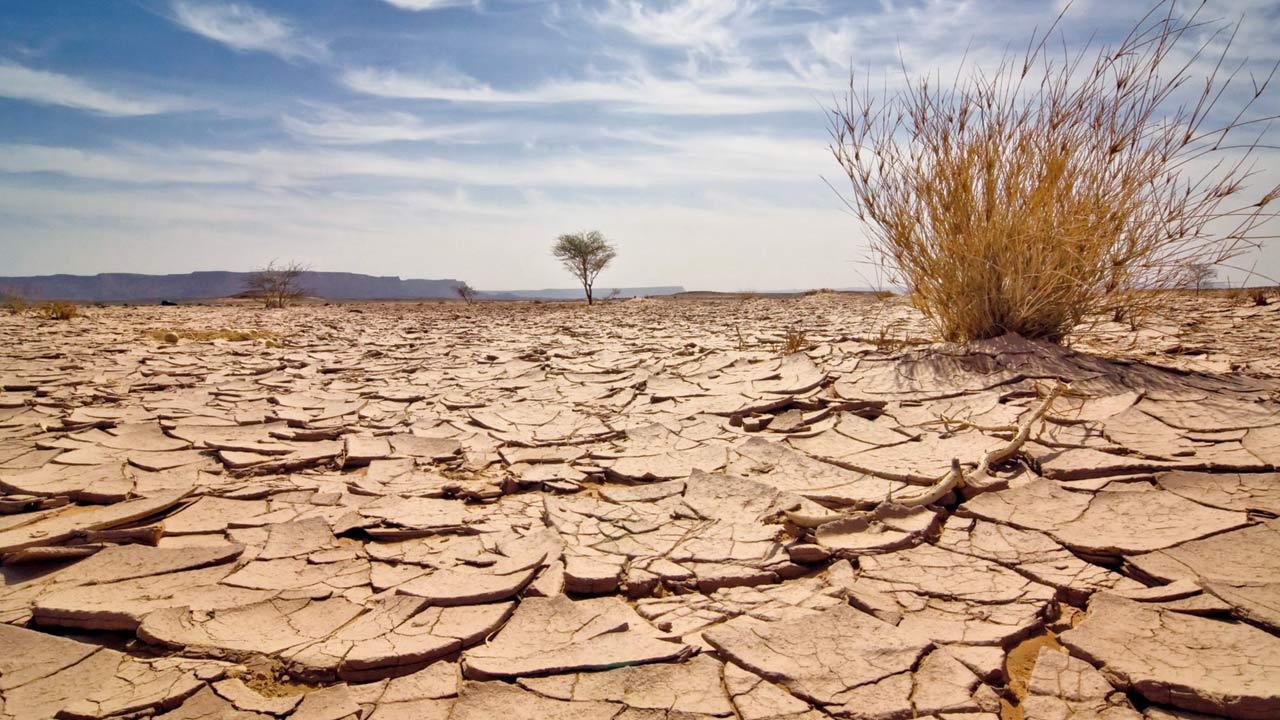 Earth records hottest year ever in 2024
