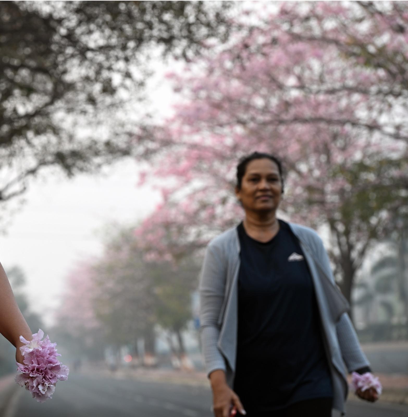 With over 6,000 Tabebuia rosea trees across Mumbai, the flowers are seen in areas like Nerul, Belapur, Powai, Sion, and Borivali, with Vikhroli hosting the largest plantation. These trumpet-shaped flowers, measuring two to four inches in length, fall to the ground as they bloom, creating a stunning natural carpet of pink petals.