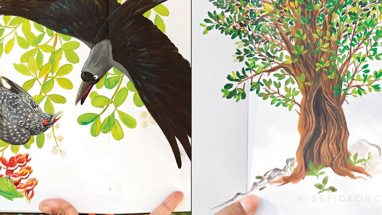George’s illustration of a crow pecking at a jungle jalebi (right) An illustration of a Khirni tree