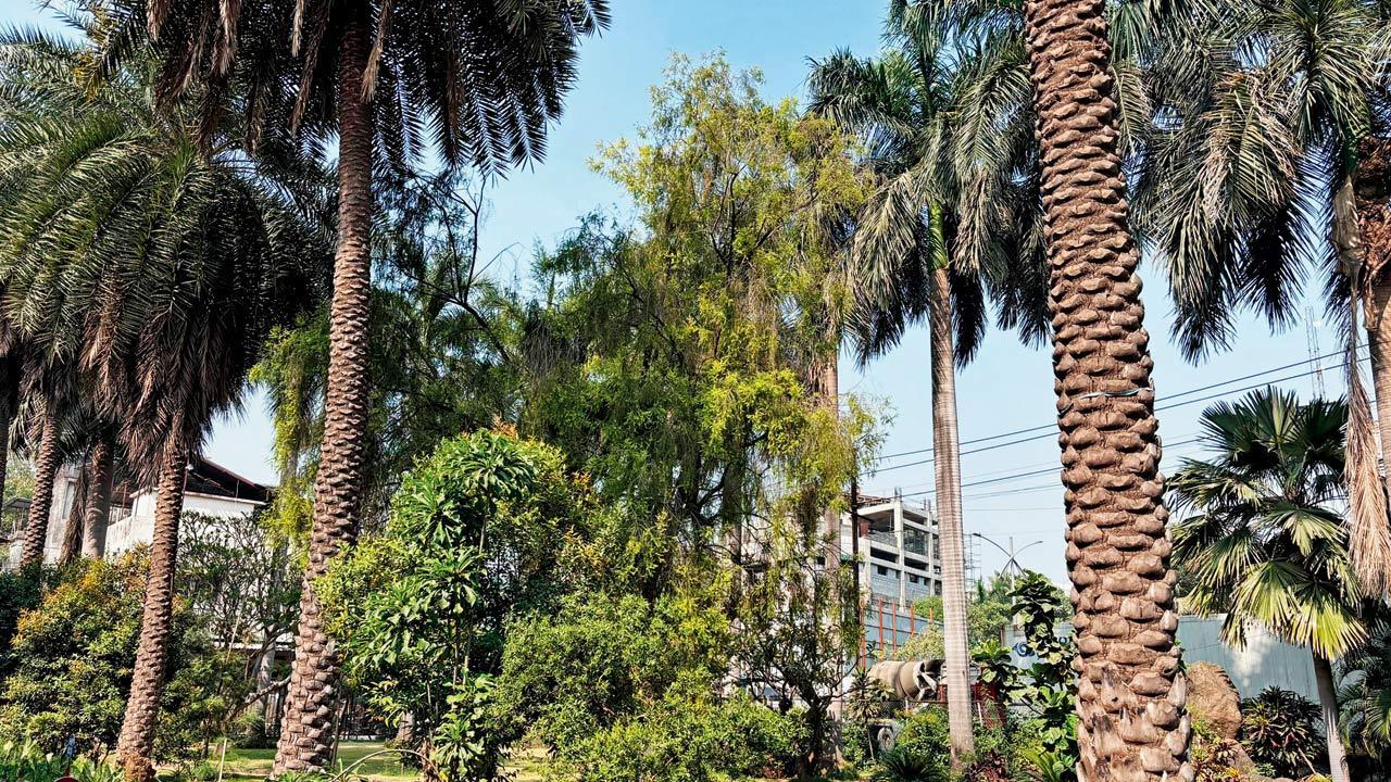 Navi Mumbai: National Green Tribunal issues notice to MIDC over a hotel project
