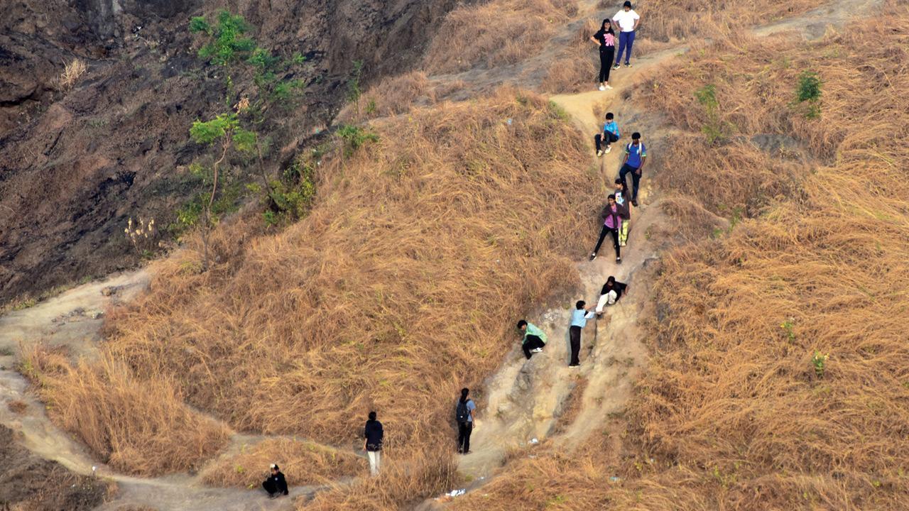 Mumbai Diary: Wednesday Dossier