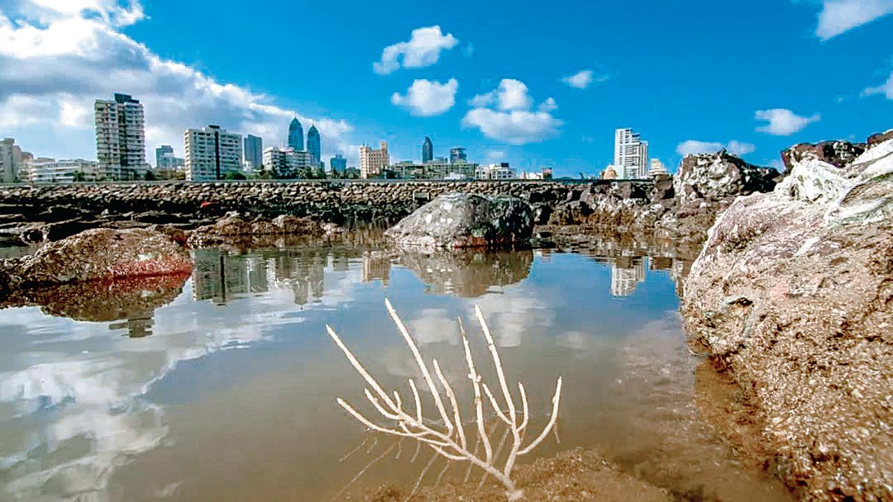 Embark on these walking tours to know more about Mumbai