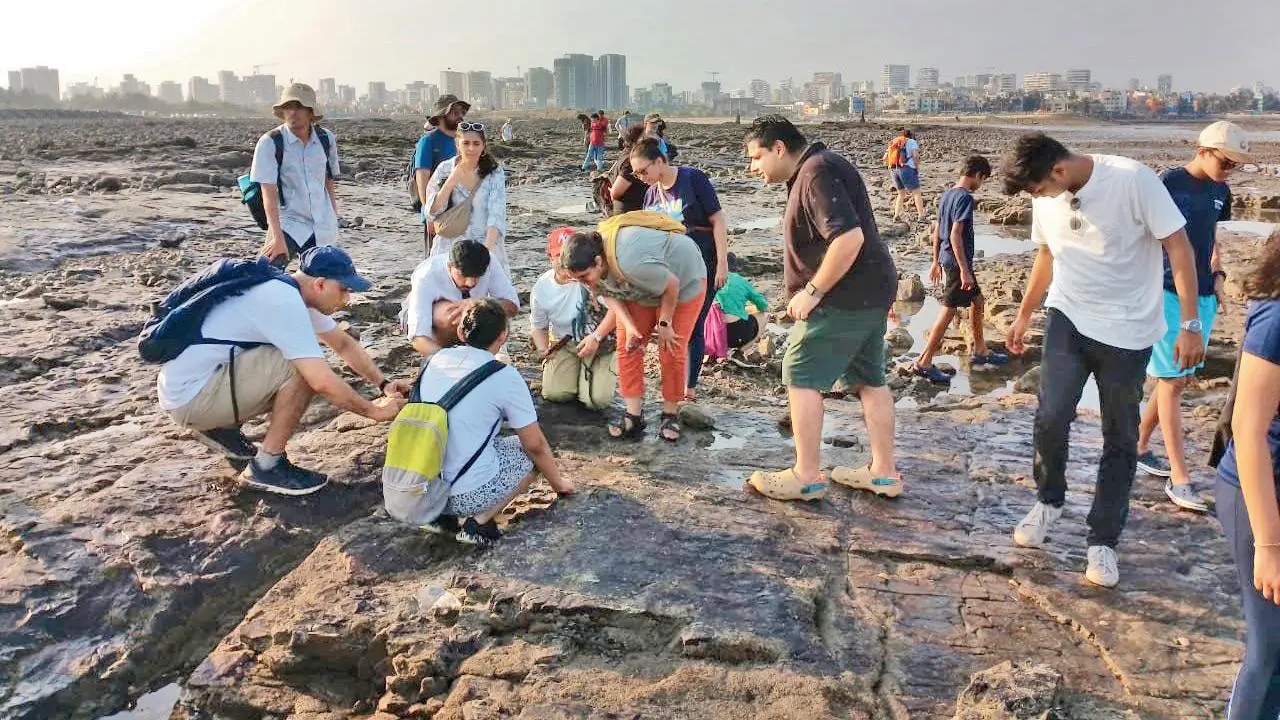 This initiative aims to explore tide pool ecosystems along Indian coast