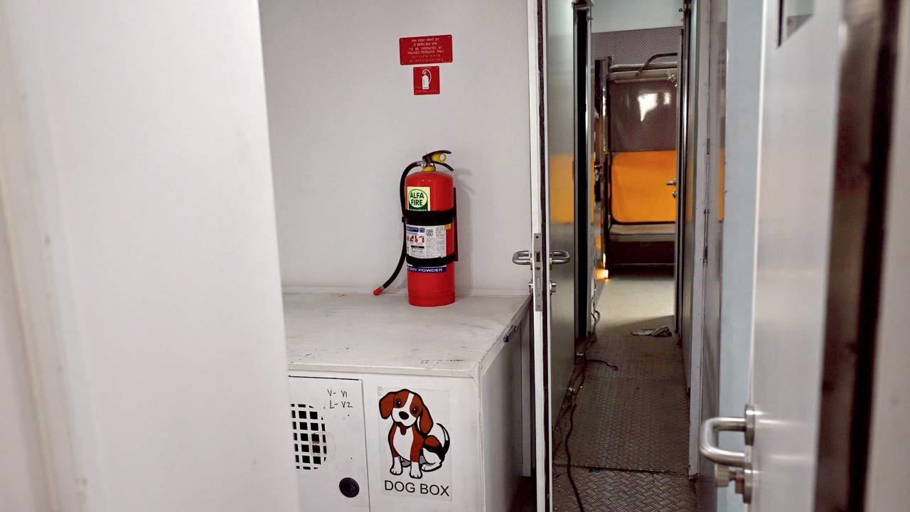 The dog boxes on the train