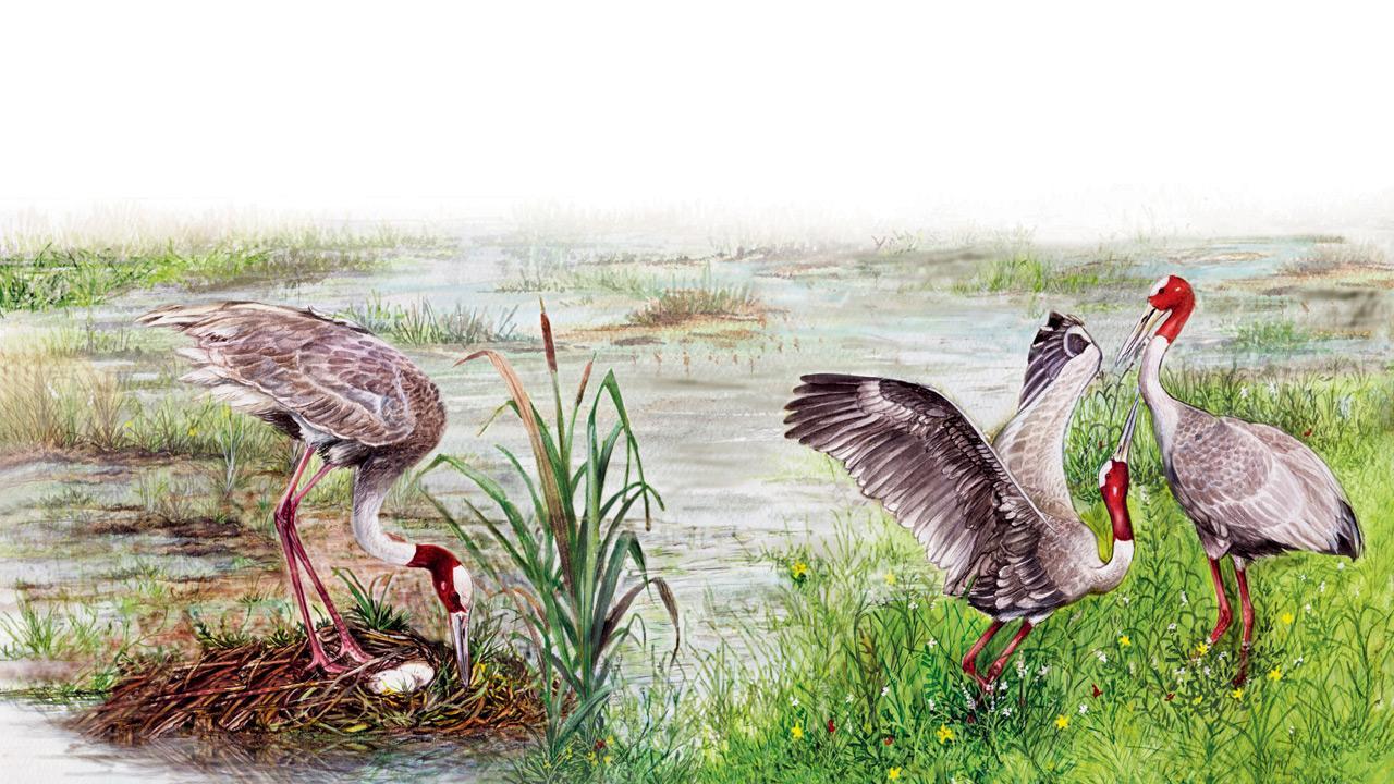 These books aim to teach kids about nature, environment and wildlife conservation