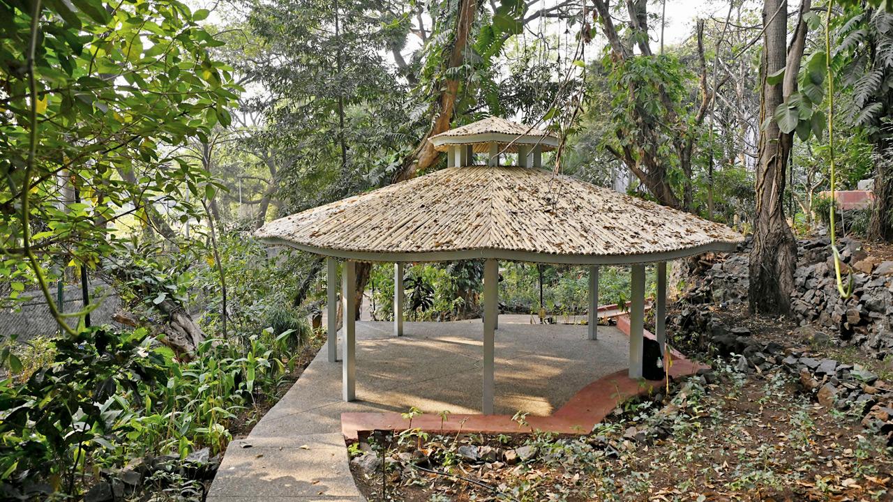 The Nest is a collaborative effort between the Goenka family and the BMC. It has over 8,000 new plants and trees (350 species with over 200 native species) resulting in a 70:30 ratio of native to exotic species