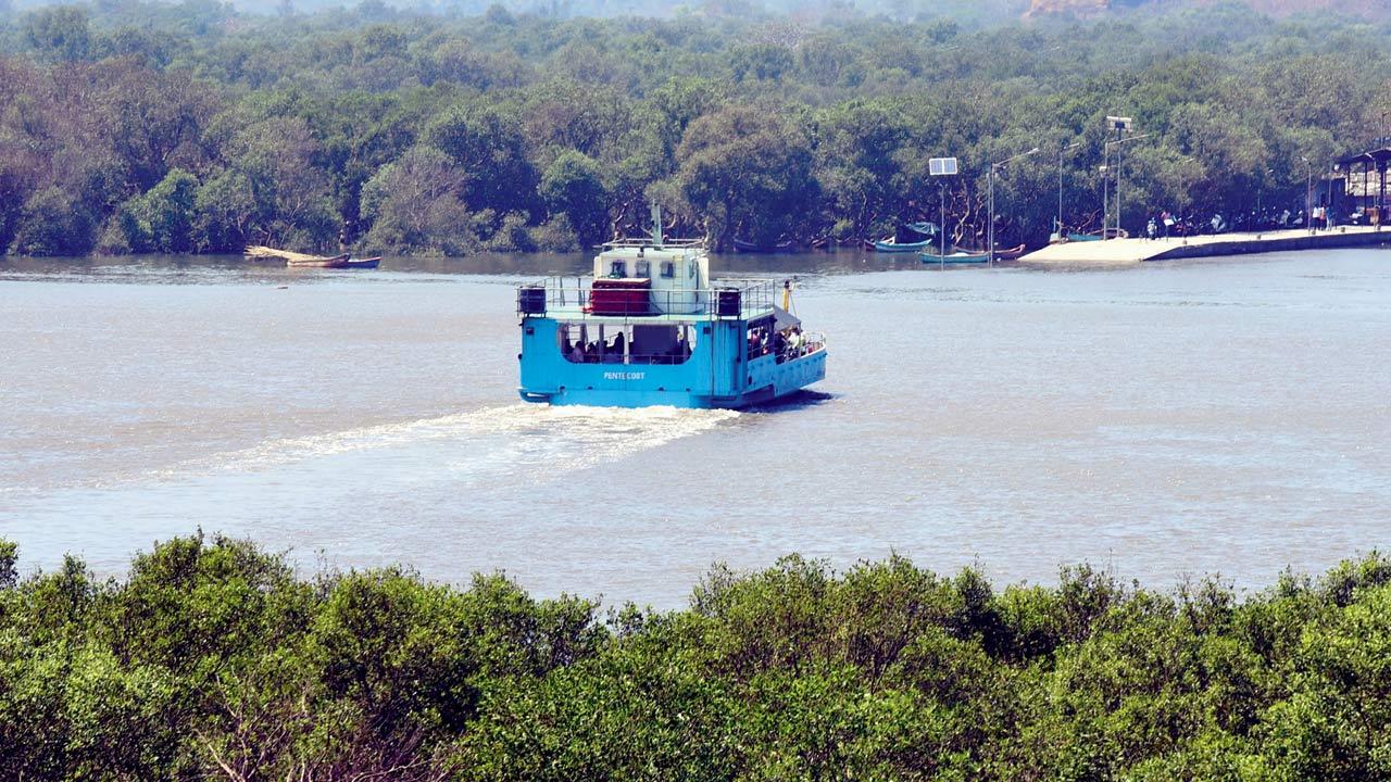An aerial view of the Gorai creek. Pic/Nimesh Dave