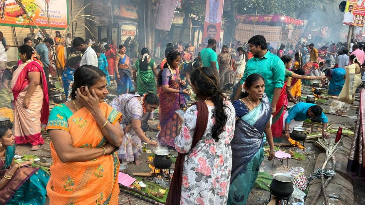 Pongal is a four-day harvest festival dedicated to the Sun God. To mark the festival, the Pongal sweet dish is prepared and is first offered to the Gods and Goddesses