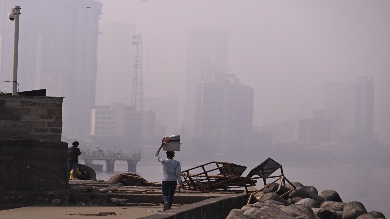 According to the latest Mumbai weather updates from the Indian Meteorological Department (IMD), Mumbai is expected to experience mainly clear sky in city and suburbs in the next 24 hours
