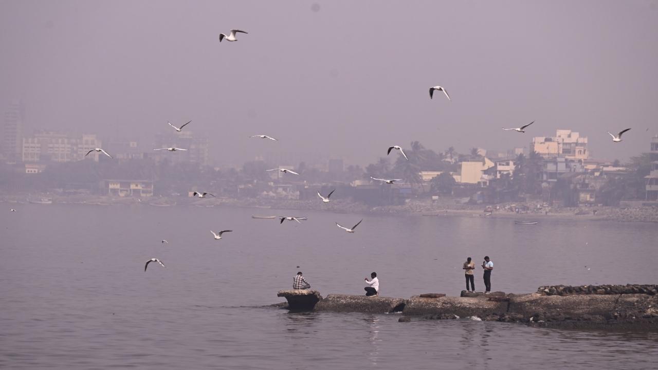 In the next 48 hours, Mumbai is likely to expect haze in the morning 