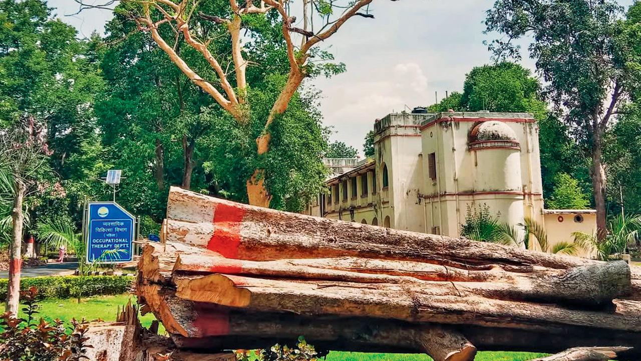 A spot inside Ranchi Mental Asylum where the author (inset) crafted his latest book. Pic/Instagram