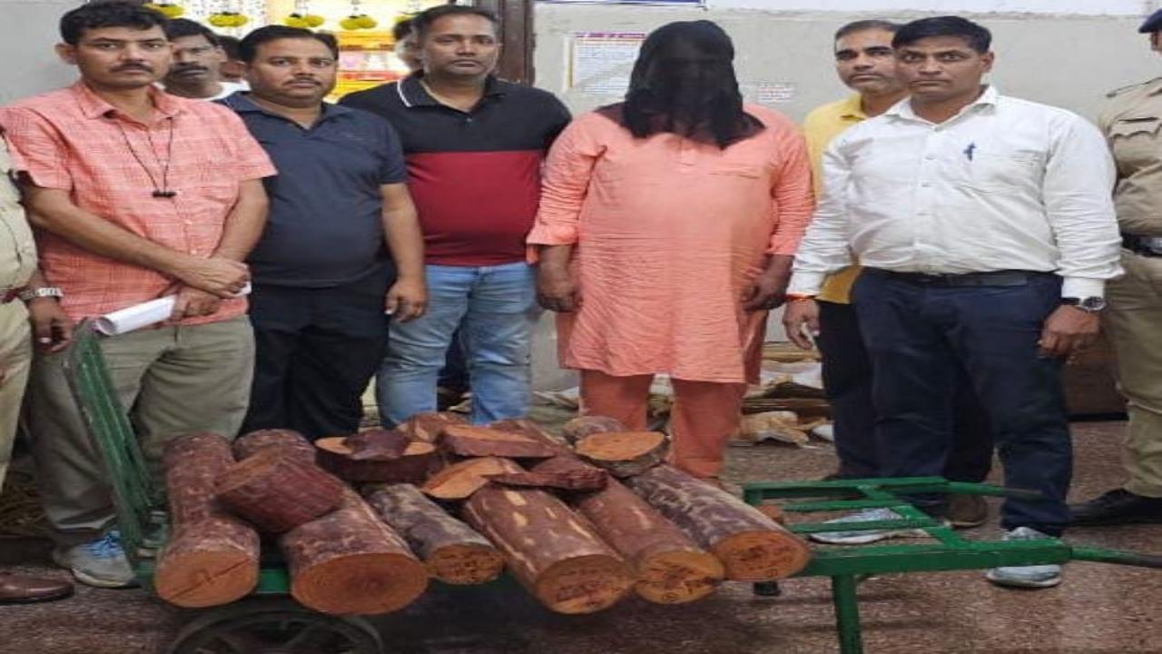 15 logs of sandalwood, weighing 93 kg, seized from Jaipur-bound train at Mumbai Central