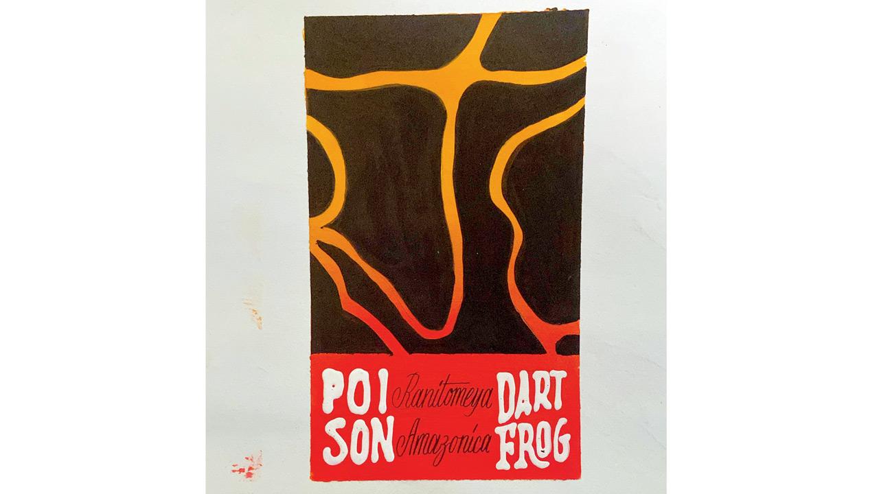 A shade card depicting the colour palette of a Poison Dart Frog