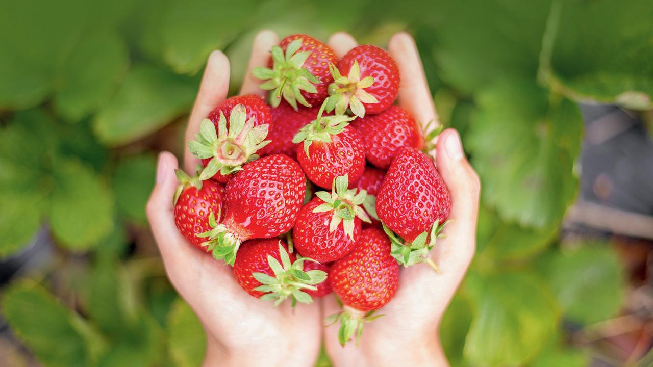 Do you love eating strawberries? Try these unique dishes and drinks in Mumbai