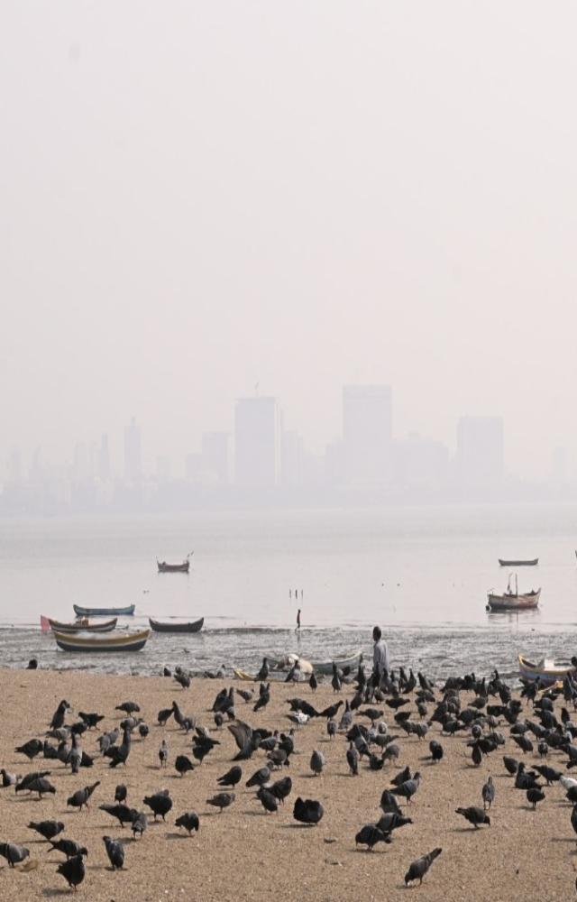 The Meteorological Department in its Mumbai weather updates on Friday predicted partly cloudy skies even as the AQI remained in moderate category