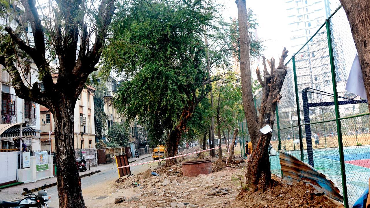 Shroff’s characters take up issues like the environment and the hacking of trees in the city