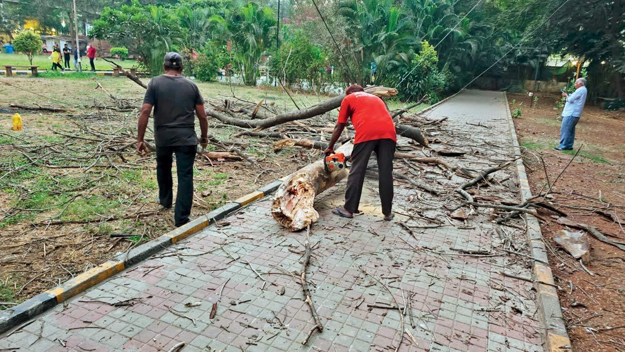 Ghatkopar Woman killed another injured as banyan tree branch falls on them