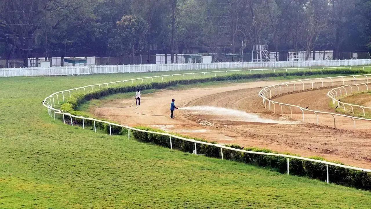 Indian Derby build-up: Five aces and a joker