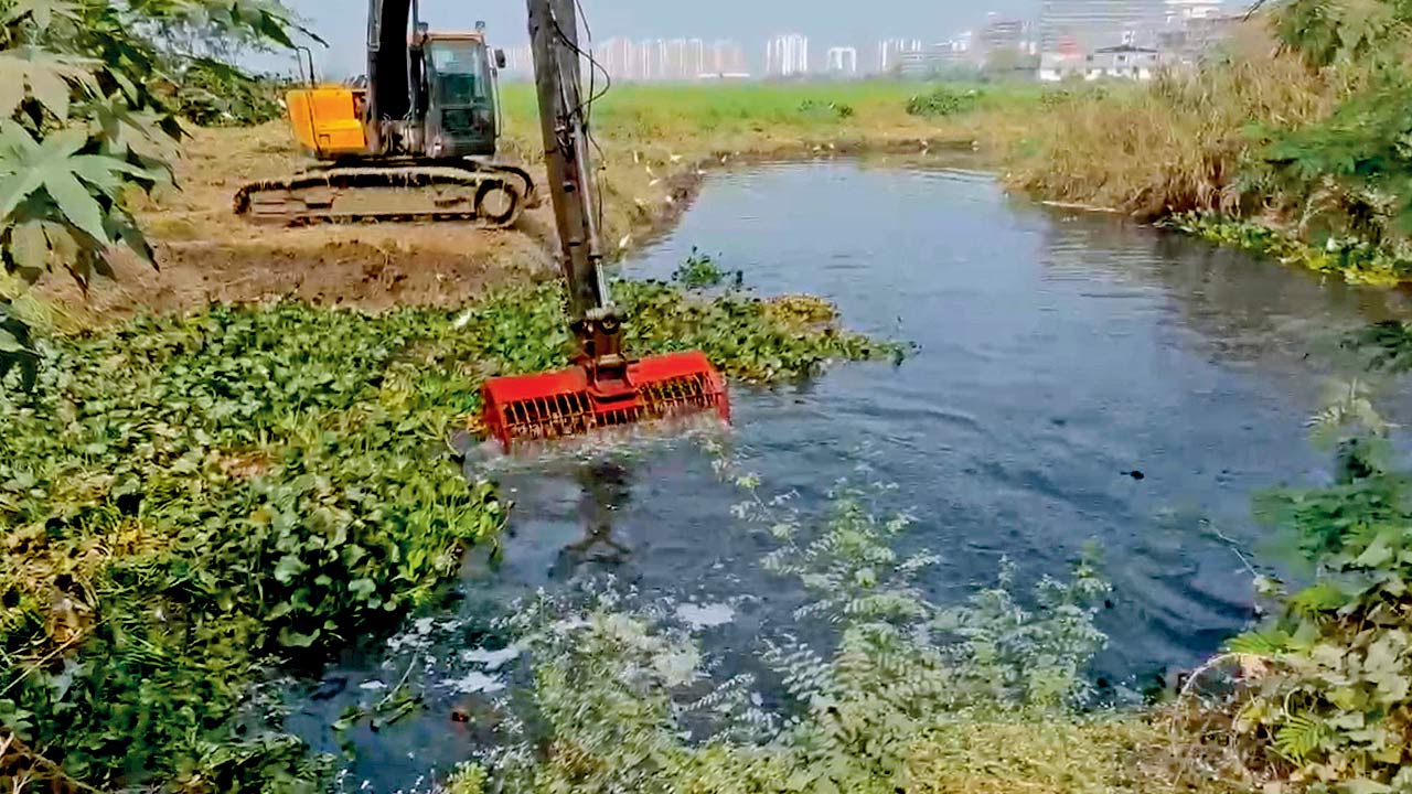Civic officials remove water hyacinth plants from a water body