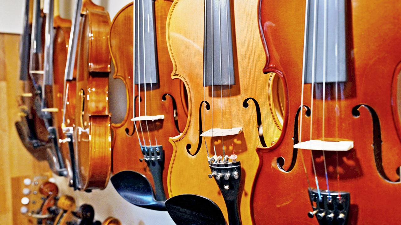A collection of violins at the Girgaon store