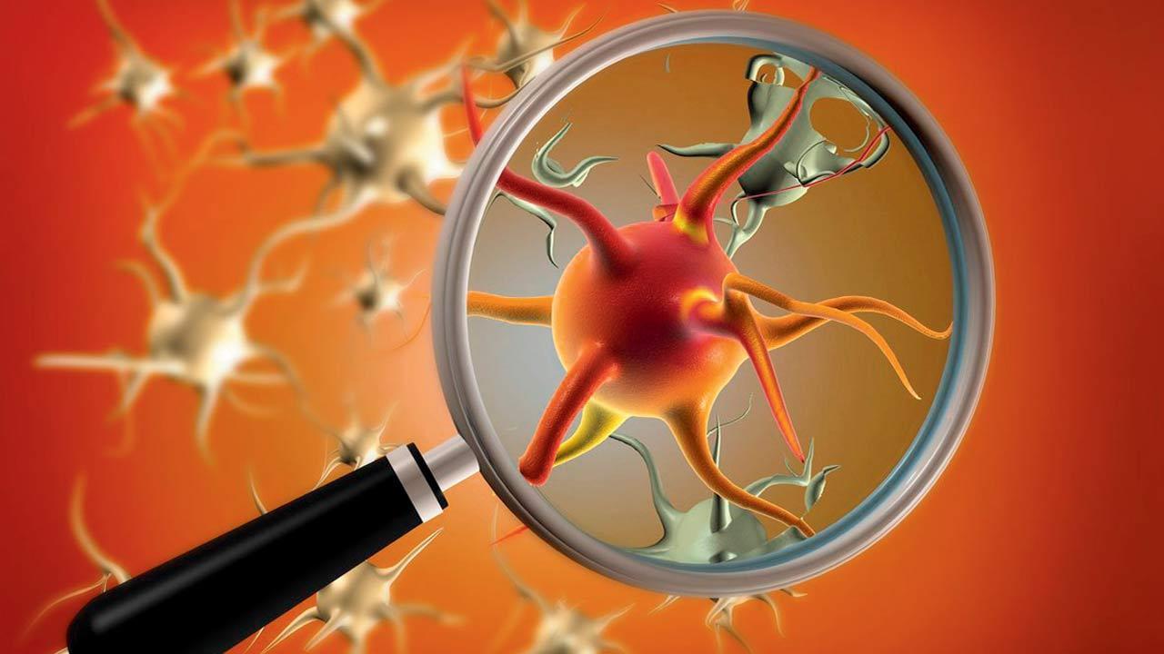 Breathe Easy! HMPV virus has always been in the air