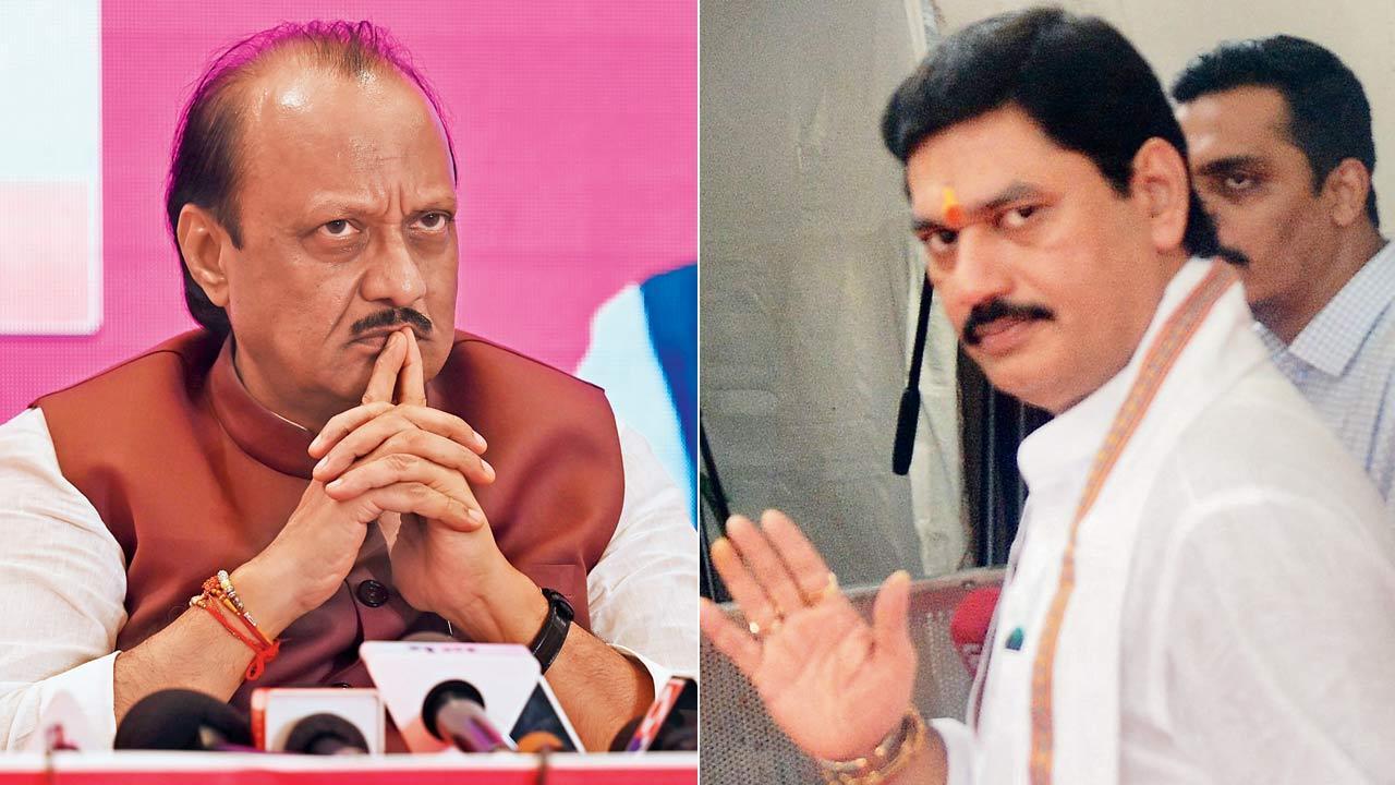 Beed sarpanch murder: BJP MLA claims Ajit Pawar will know of Dhananjay Munde’s link ‘in days'
