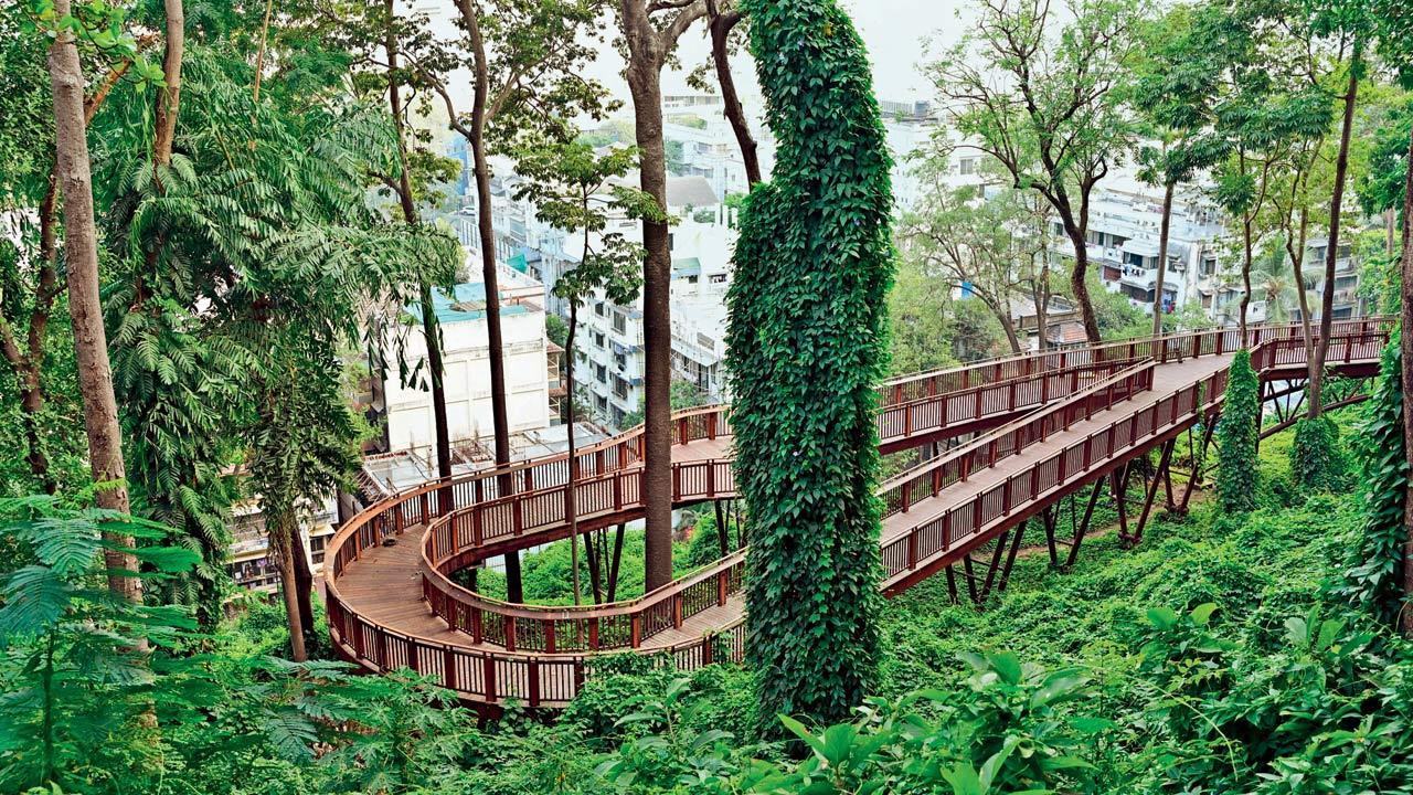 Malabar Hill nature trail walkway to have crowd control system