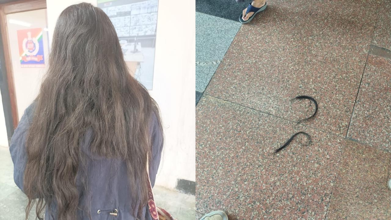 Mumbai: Central Railway police arrest mentally unstable man for allegedly cutting woman's hair on Dadar railway bridge