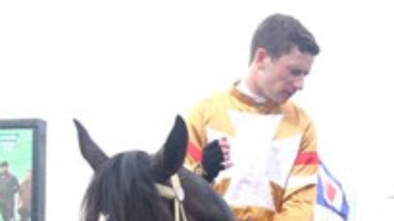 Market fanciesThe top two market favourites, in all likelihood, will be Santissimo and Ranquelino. 
Santissimo (Gusto - Beldon Hill; Br: Track Supreme)Comment: Winner of seven races from nine starts, this Pesi Shroff-trained colt is fit as a fiddle. English jockey Oisin Murphy, who rode him to victory in the 2000 Guineas, will again specially fly in to ride him on Sunday