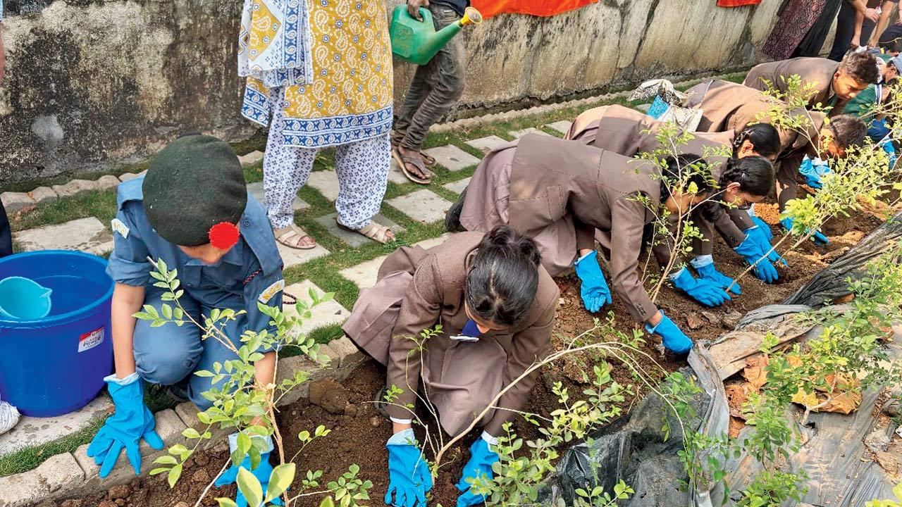 Students plant saplings of Neem and Peepal during the plantation drive