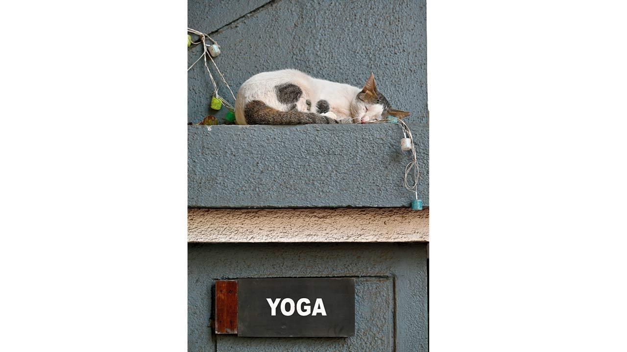 Mumbai Diary: Saturday Dossier