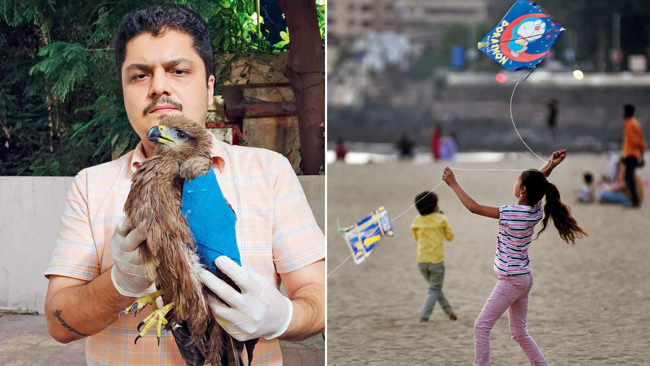 Pawan Sharma nurses an injured Black Kite; (right) A girl flies a kite on Makar Sankranti