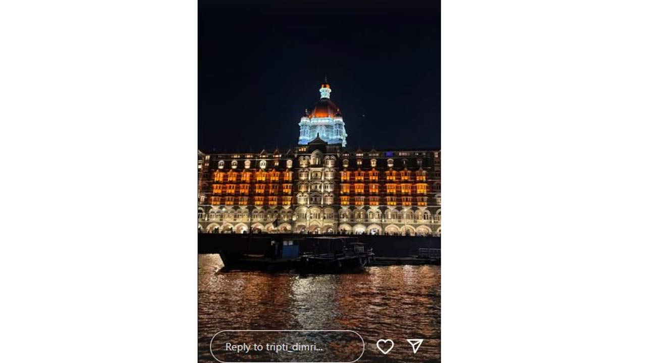 Picture Courtesy/Triptii Dimri`s Instagram account