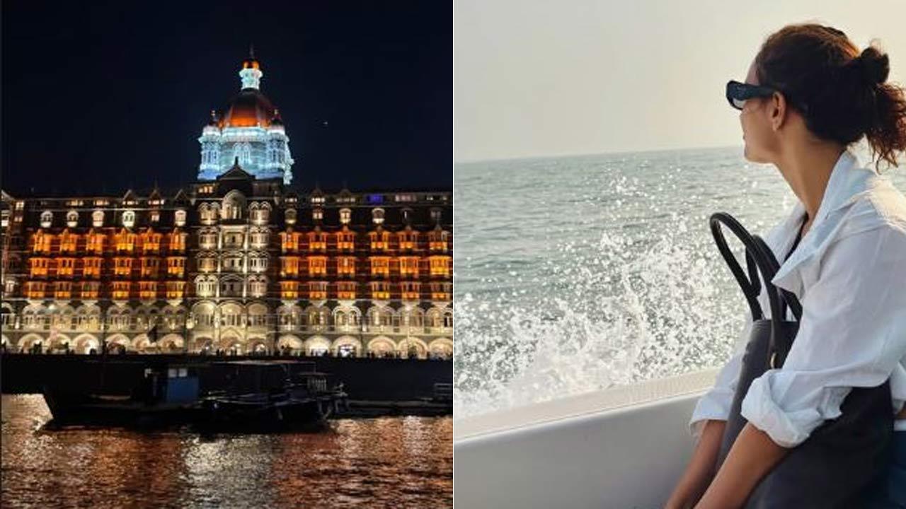 Triptii Dimri reveals how she spent her Monday and it was truly envious