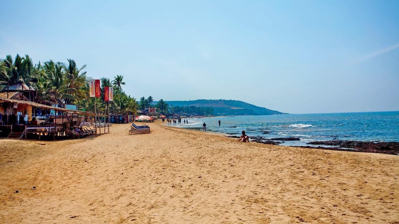 ‘I’m willing to pay more if Goa remains peaceful’: Is India's sunshine state losing tourists?