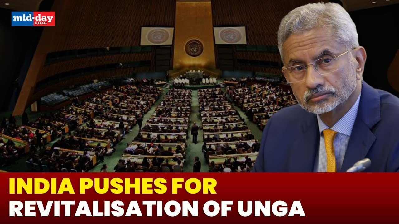 India pushes for 'revitalisation' of UNGA