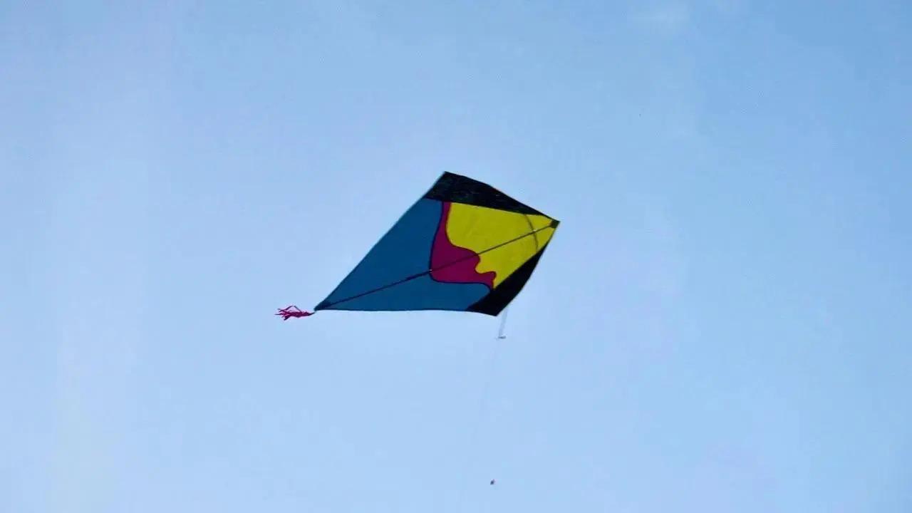 Makar Sankranti 2025: People in Gujarat celebrate with kite flying, traditional festivities